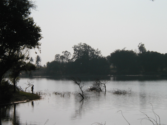 P1010014.JPG