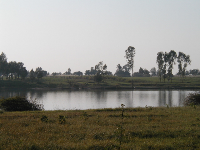 P1010018.JPG