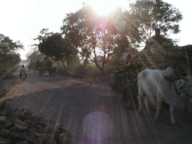 P1010025.JPG