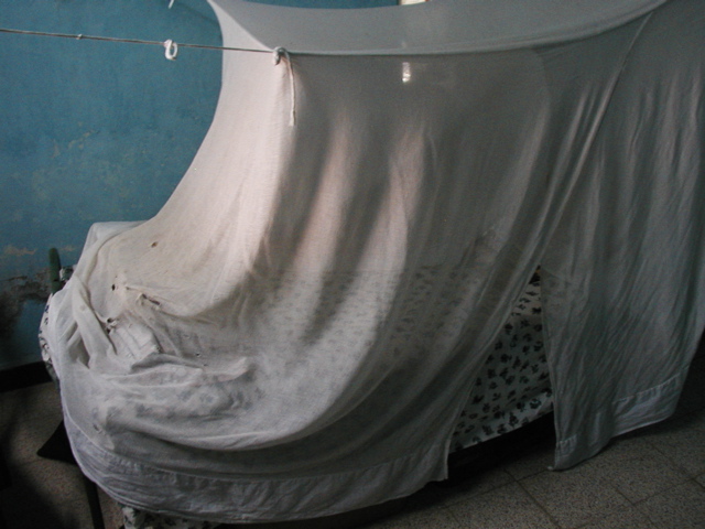 P1010032.JPG