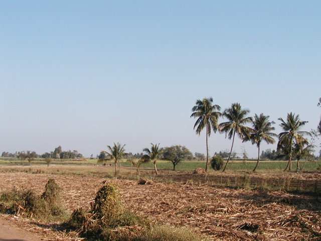 P1010005.JPG