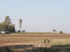 P1010016.JPG