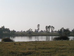P1010017.JPG