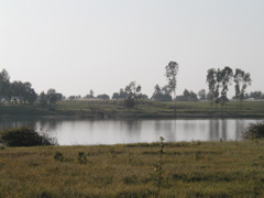 P1010018.JPG