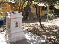 P1010043.JPG