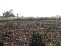 P1010006.JPG