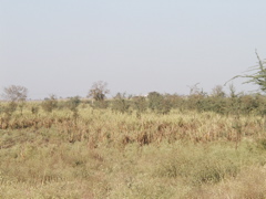 P1010008.JPG