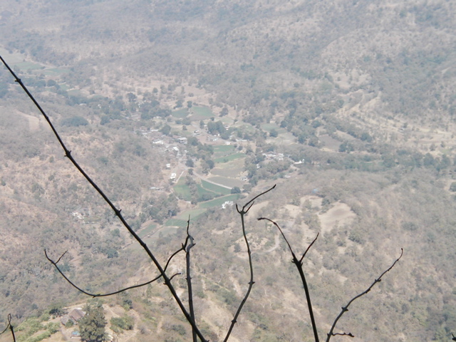 P1010015.JPG