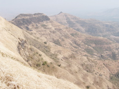 P1010029.JPG
