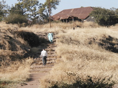 P1010036.JPG