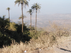 P1010044.JPG