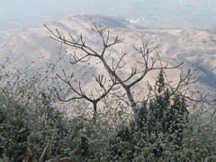 P1010046.JPG