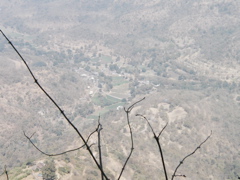P1010015.JPG
