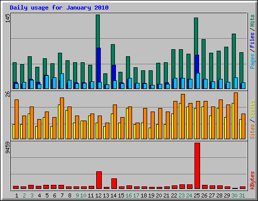 Daily usage for January 2010