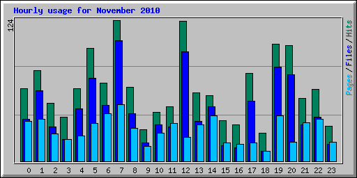 Hourly usage for November 2010