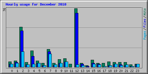 Hourly usage for December 2010